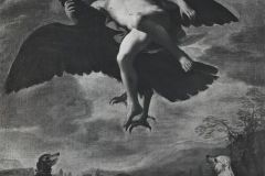 267
